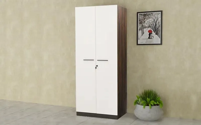 A Complete Guide to Choose the Right Almirah For Master Bedroom