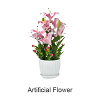 Store Image 2