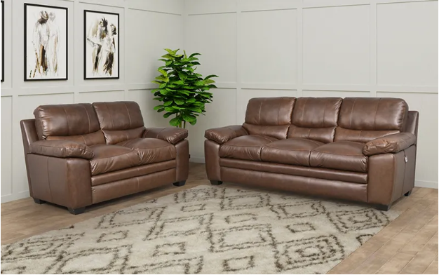 Two leather sofa in a living room