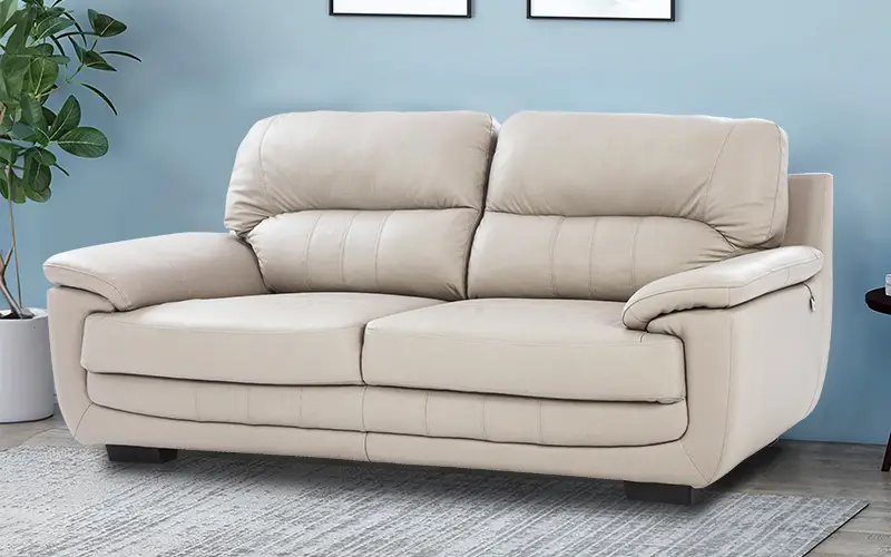 Wooden Sofa vs. Genuine Leather Sofa: Which One Fits Your Lifestyle? 6