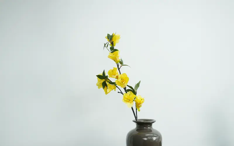 Azeale Yellow Flower Bunch